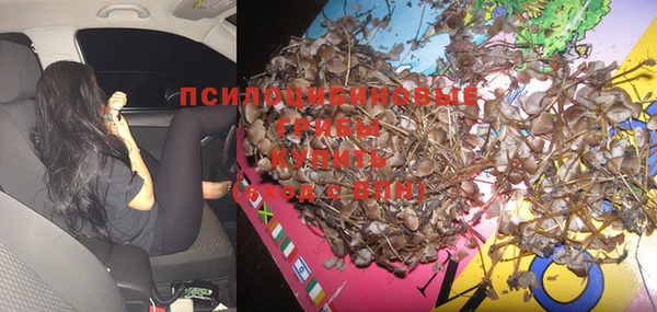 круглые Няндома