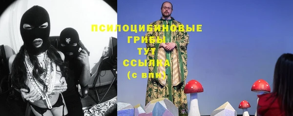 шишки Нягань
