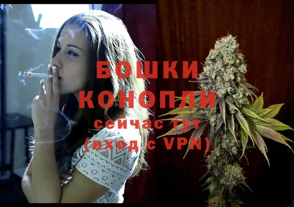 шишки Нягань