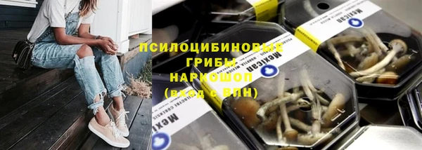 ECSTASY Нязепетровск