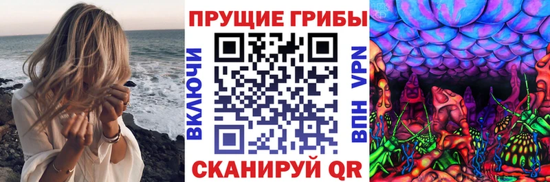 Псилоцибиновые грибы мицелий  Хадыженск 
