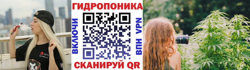 магазин продажи наркотиков  Хадыженск  Конопля SATIVA & INDICA 